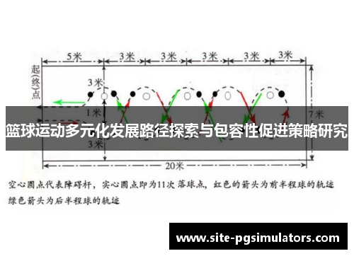 篮球运动多元化发展路径探索与包容性促进策略研究