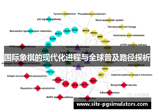 国际象棋的现代化进程与全球普及路径探析