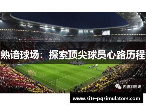 熟谙球场：探索顶尖球员心路历程