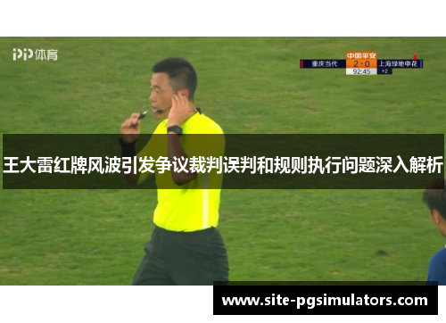 王大雷红牌风波引发争议裁判误判和规则执行问题深入解析