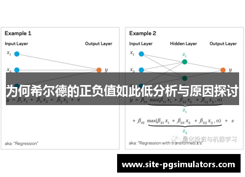 为何希尔德的正负值如此低分析与原因探讨