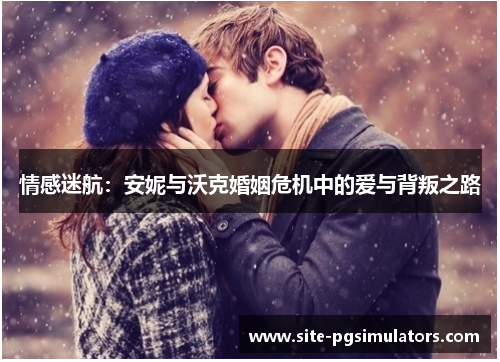 情感迷航：安妮与沃克婚姻危机中的爱与背叛之路