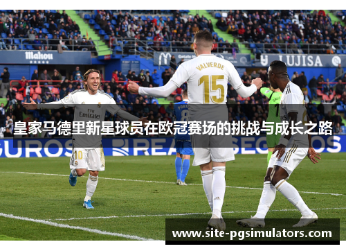 皇家马德里新星球员在欧冠赛场的挑战与成长之路