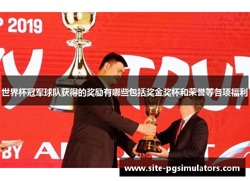 世界杯冠军球队获得的奖励有哪些包括奖金奖杯和荣誉等各项福利