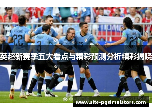 英超新赛季五大看点与精彩预测分析精彩揭晓