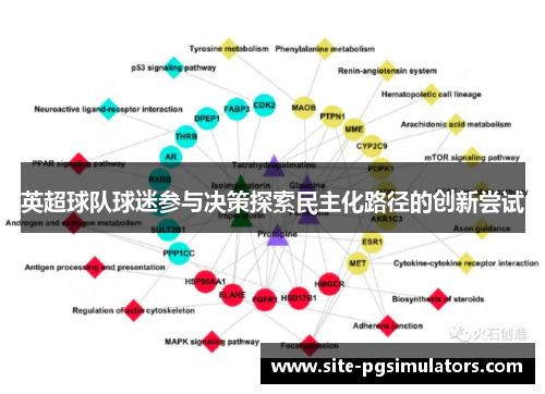 英超球队球迷参与决策探索民主化路径的创新尝试