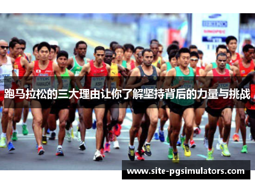 跑马拉松的三大理由让你了解坚持背后的力量与挑战