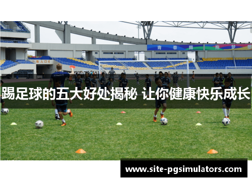 踢足球的五大好处揭秘 让你健康快乐成长