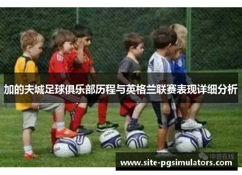 加的夫城足球俱乐部历程与英格兰联赛表现详细分析 加的夫城足球俱乐部历程与英格兰联赛表现详细分析