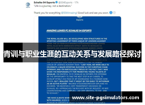 青训与职业生涯的互动关系与发展路径探讨