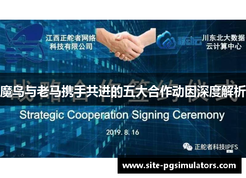 魔鸟与老马携手共进的五大合作动因深度解析 魔鸟与老马携手共进的五大合作动因深度解析