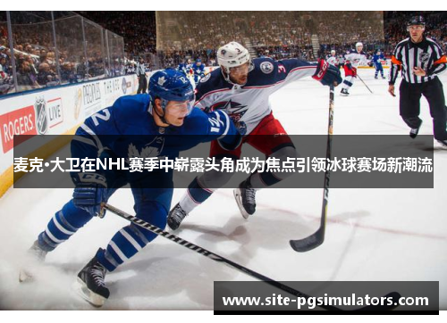 麦克·大卫在NHL赛季中崭露头角成为焦点引领冰球赛场新潮流