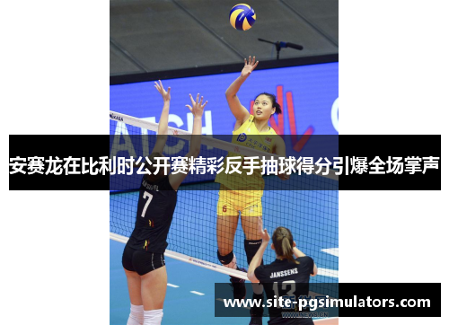 安赛龙在比利时公开赛精彩反手抽球得分引爆全场掌声