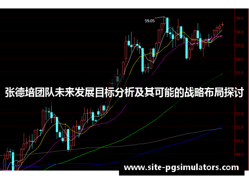 张德培团队未来发展目标分析及其可能的战略布局探讨