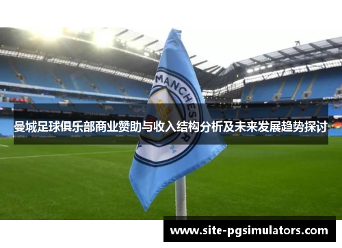 曼城足球俱乐部商业赞助与收入结构分析及未来发展趋势探讨
