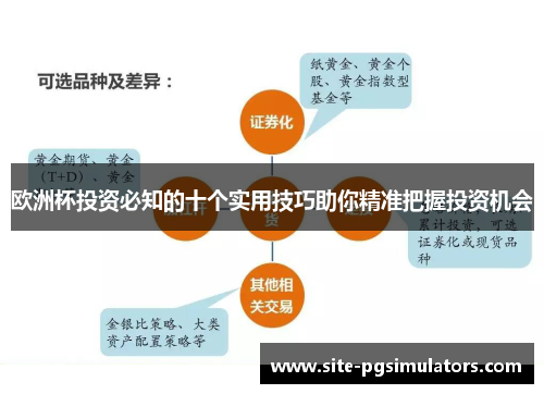 欧洲杯投资必知的十个实用技巧助你精准把握投资机会