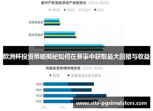 欧洲杯投资策略揭秘如何在赛事中获取最大回报与收益
